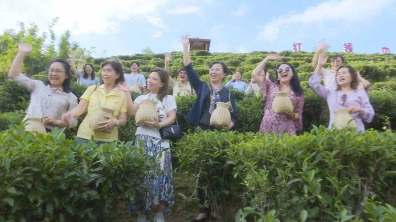 党建带妇建 | “中国心·姐妹情”桂澳妇女交流运动_广东金海；；；Ｑだ眉庞邢薰 - 不锈钢 - 商业 - 物流