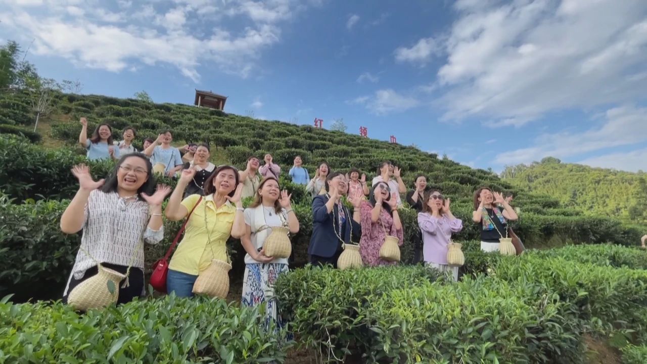 党建带妇建 | “中国心·姐妹情”桂澳妇女交流运动_广东金海；；；Ｑだ眉庞邢薰 - 不锈钢 - 商业 - 物流