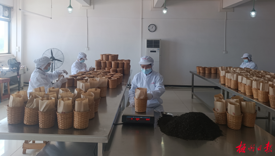 守正立异推进高质量生长丨梧州经济部分和民营企业家认真学习贯彻习近平总书记主要讲话及天下两会精神_广东金海唬；；Ｑだ眉庞邢薰 - 不锈钢 - 商业 - 物流