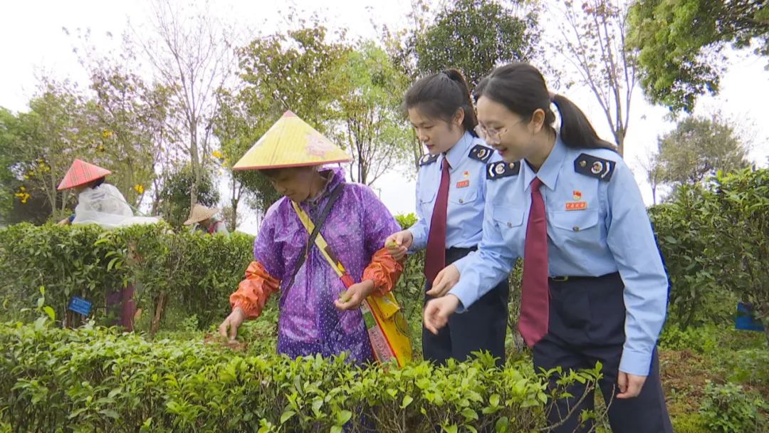 政府眷注 | 税企直联架起惠企“桥梁” 助企驶上生长“快车道”_广东金；；；；Ｑだ眉庞邢薰 - 不锈钢 - 商业 - 物流